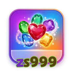 zs999